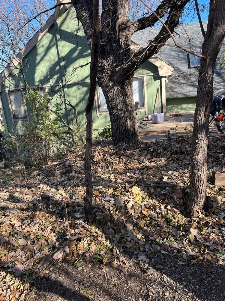 Affordable yard cleanup service in Sioux Falls, SD - B & B Landscaping And Snow Removal