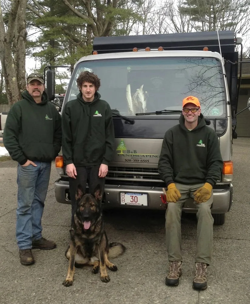 Reliable lawn care service in Medfield, MA by B & B Landscaping