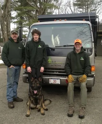 B & B Landscaping Logo