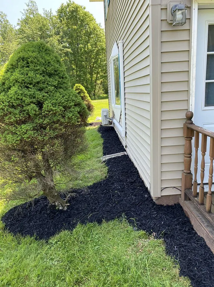 Trusted yard maintenance in Mexico, NY by B & B Landscaping
