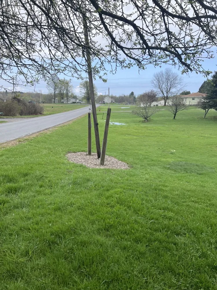 Reliable outdoor landscaping for year-round maintenance across Mexico, NY - B & B Landscaping