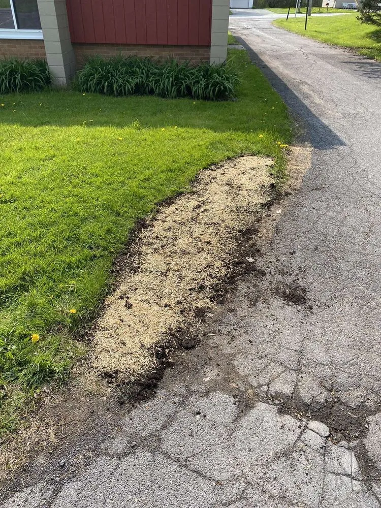 Top-rated lawn care service for homes across Mexico, NY - B & B Landscaping