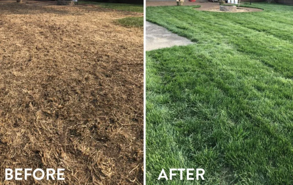 Professional garden landscaping experts serving Birmingham, AL - B & B Lawn Legends