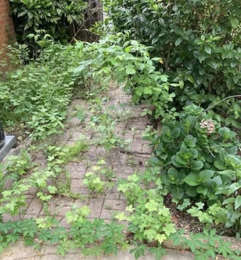 Affordable lawn mowing service in Birmingham, AL - B & B Lawn Legends