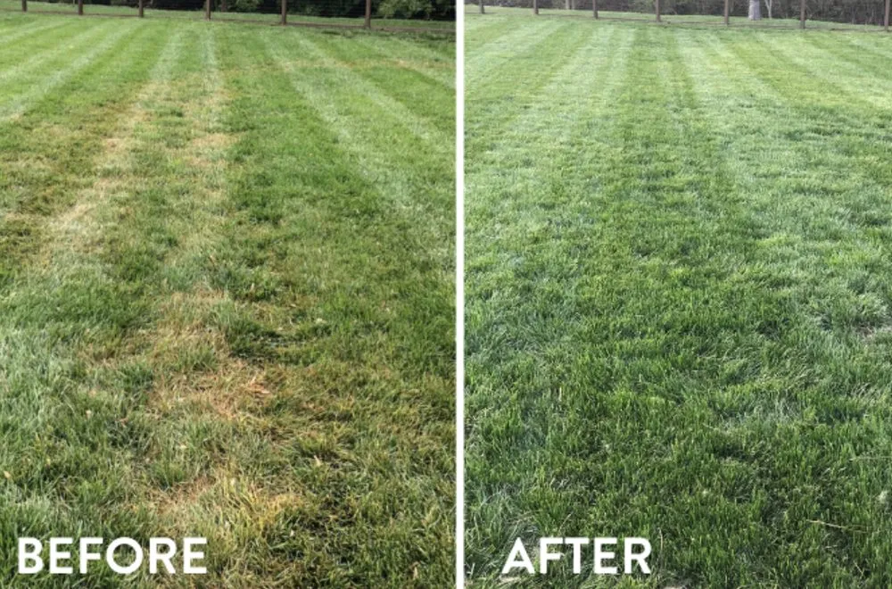 Top-rated outdoor landscaping in Birmingham, AL - B & B Lawn Legends