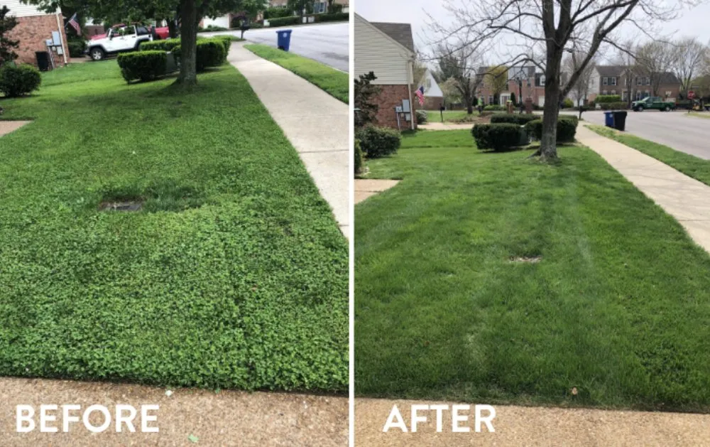 Custom yard cleanup service for year-round maintenance across Birmingham, AL - B & B Lawn Legends