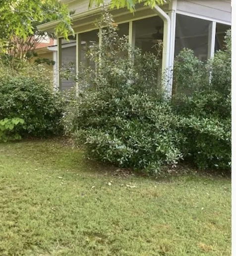 Reliable outdoor landscaping for beautiful yards in Birmingham, AL by B & B Lawn Legends