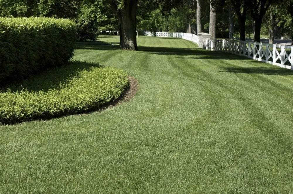 Affordable lawn care service in Birmingham, AL by B & B Lawn Legends