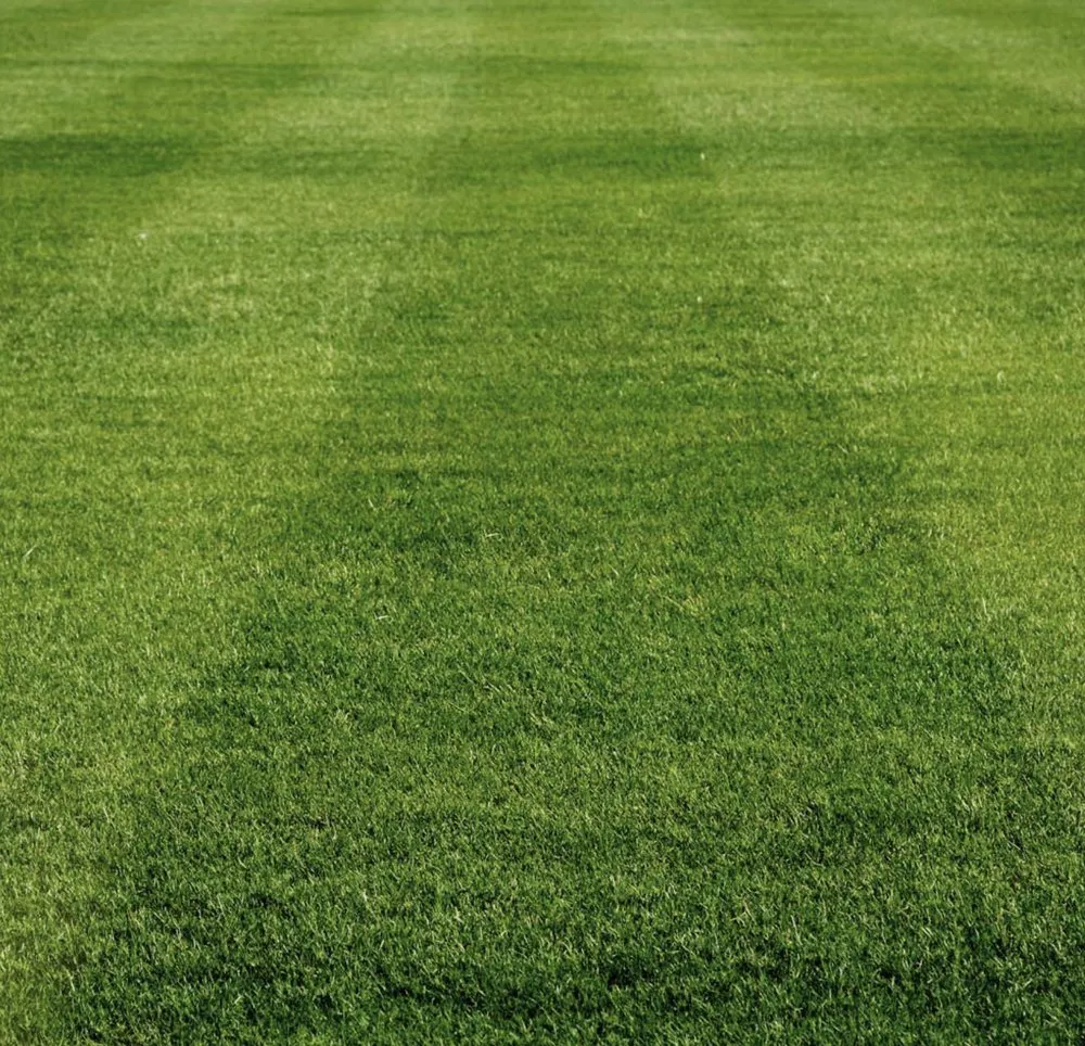 Reliable yard maintenance in Birmingham, AL - B & B Lawn Legends