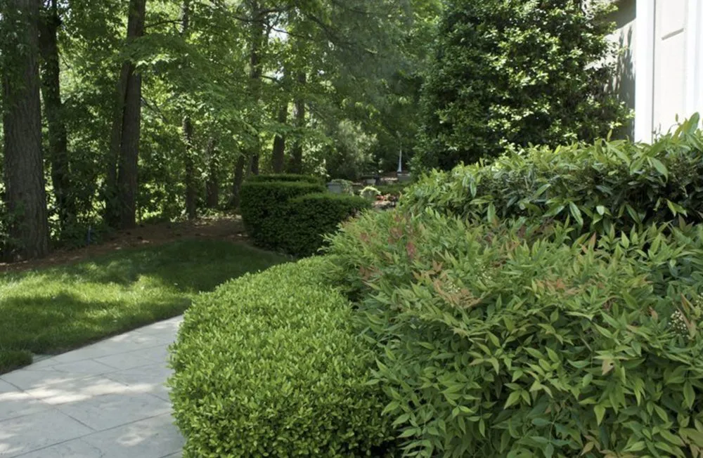 Top-rated landscape installation experts serving Birmingham, AL - B & B Lawn Legends
