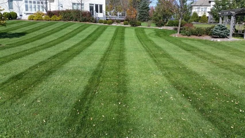 Expert landscaping services in Danville, IN - B & B Lawn Maintenance