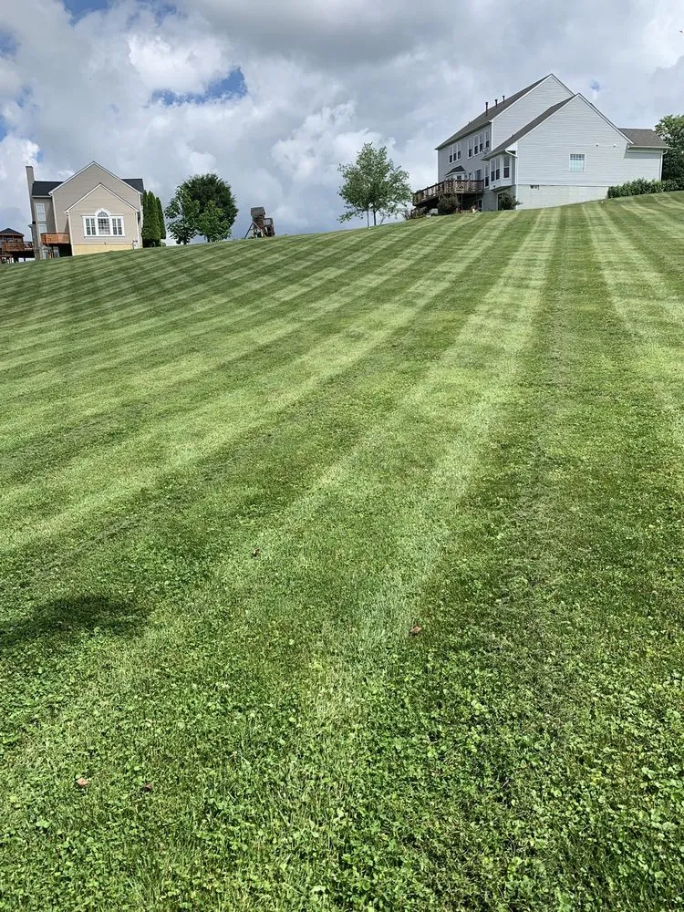 Reliable yard maintenance in Mount Airy, MD by B & B Lawn Maintenance