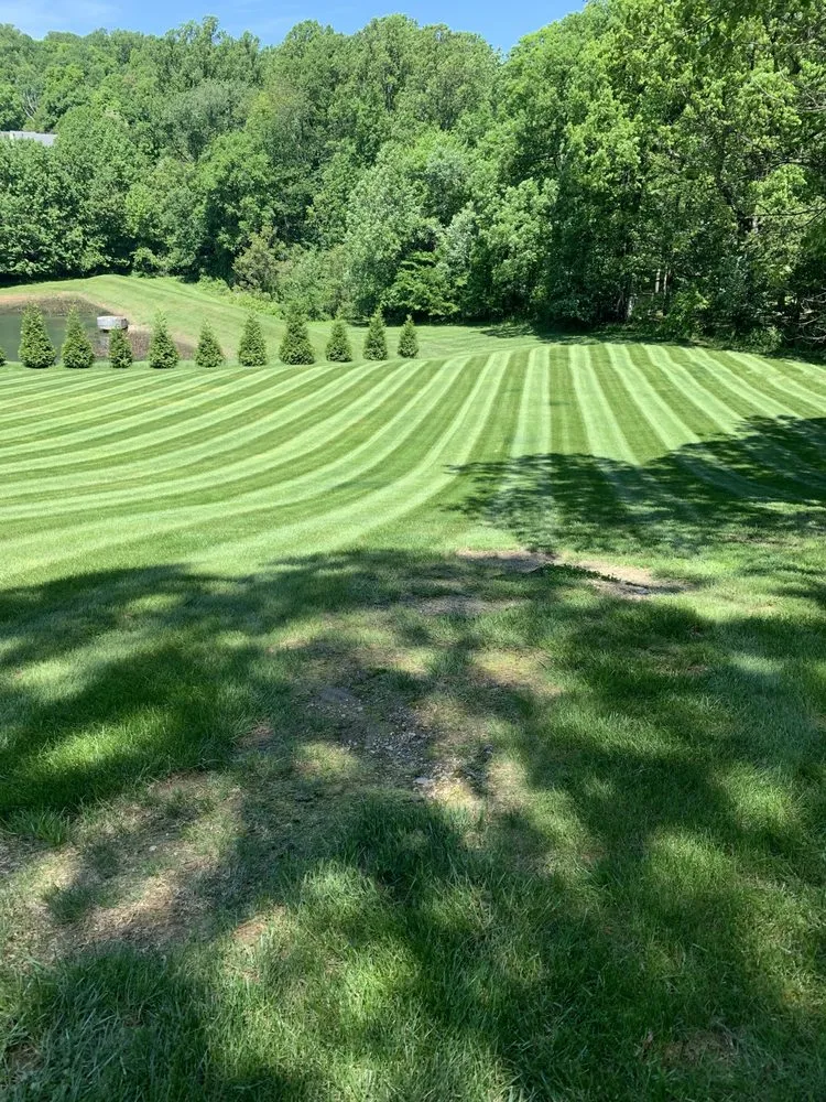 Professional outdoor landscaping for beautiful yards in Mount Airy, MD by B & B Lawn Maintenance
