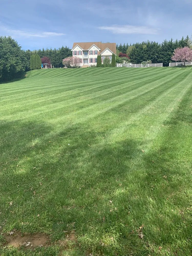 Expert residential landscaping experts serving Mount Airy, MD - B & B Lawn Maintenance