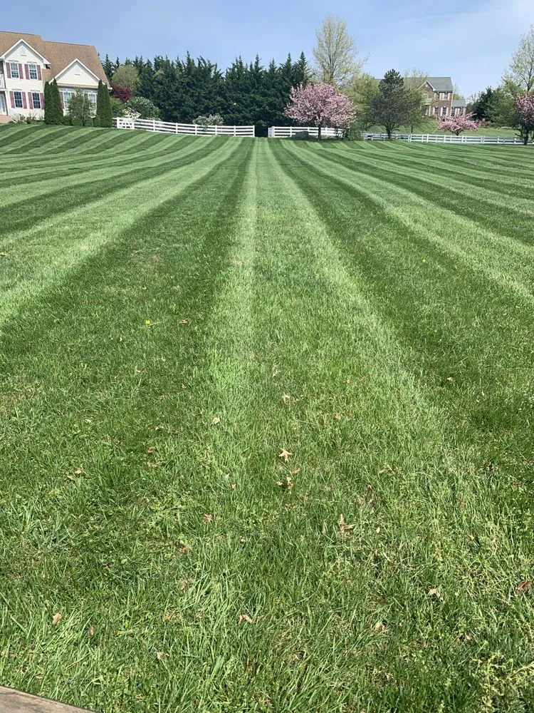 Trusted residential landscaping in Mount Airy, MD - B & B Lawn Maintenance