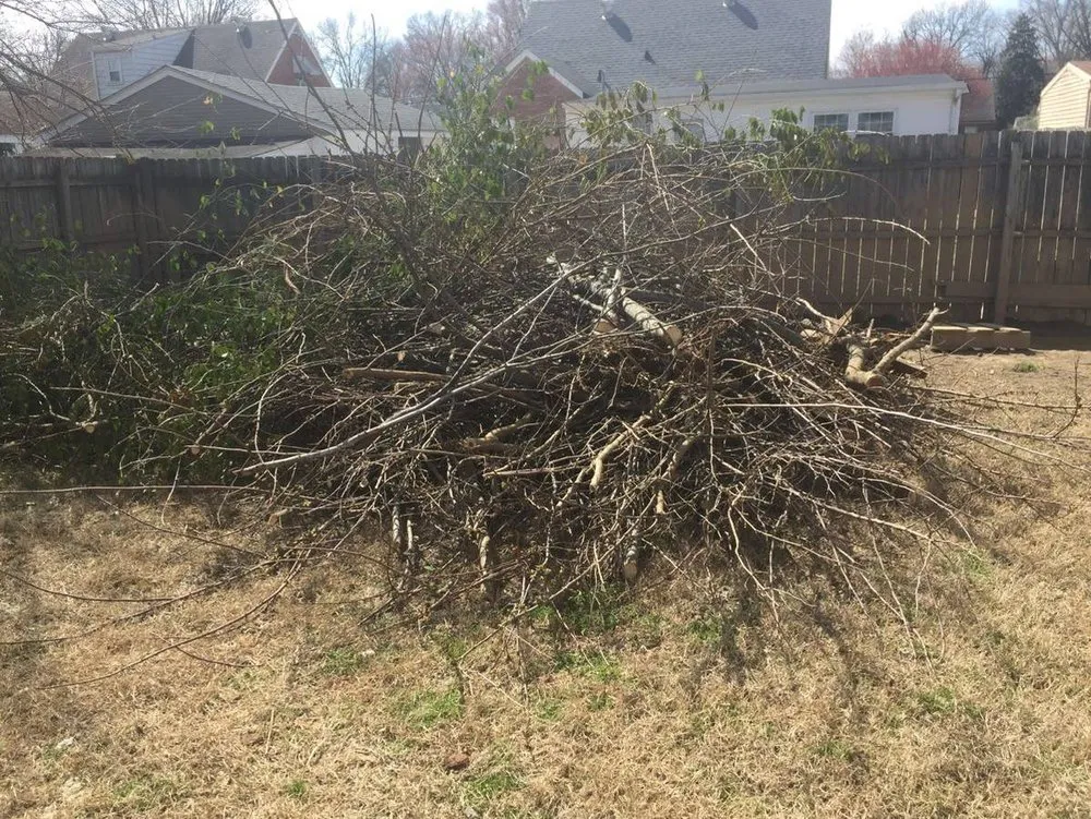 Reliable yard maintenance in New Albany, IN by B & B Lawn Services