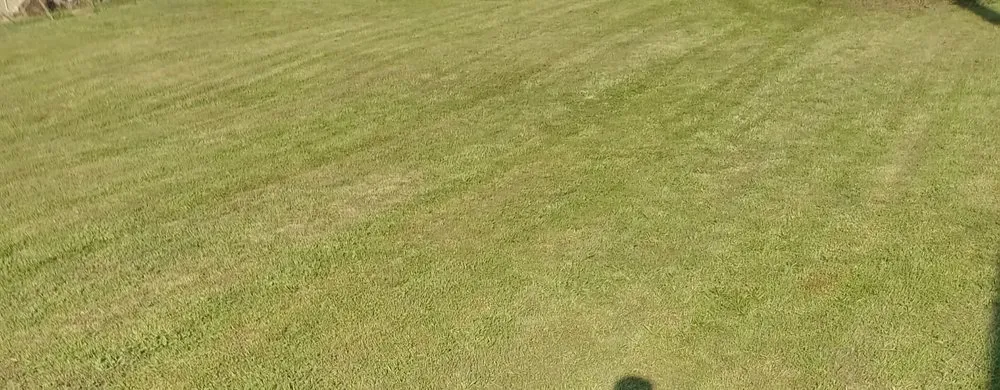 Top-rated landscaping services experts serving Clinton, SC - B & B Lawncare