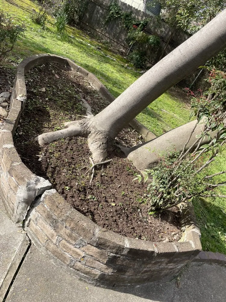 Expert landscaping services near you in Sacramento, CA by B & B Outdoor Home Improvements