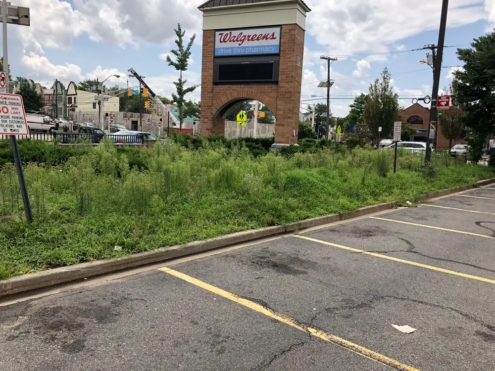 Reliable landscape installation in North Haledon, NJ by B & B Property Management