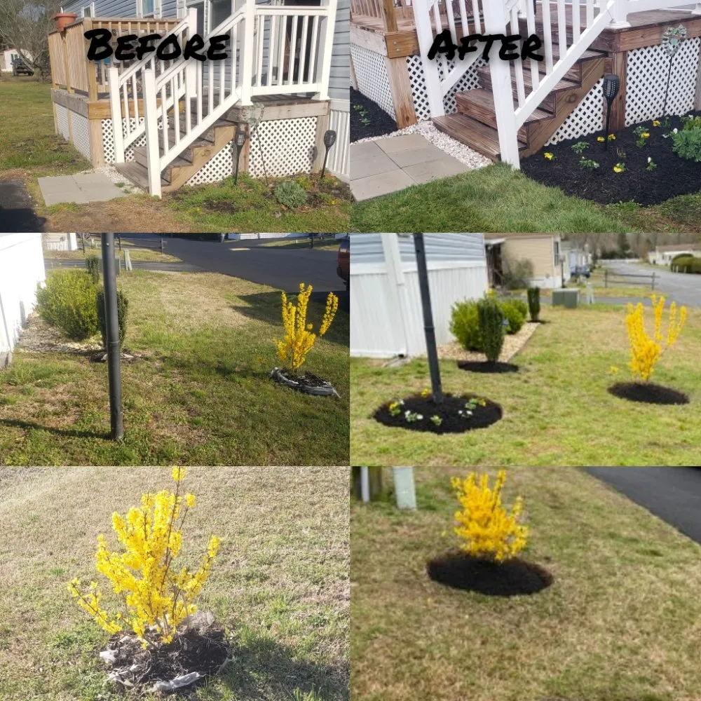Trusted residential landscaping for outdoor upgrades in Bridgeville, DE by B & B Stonework