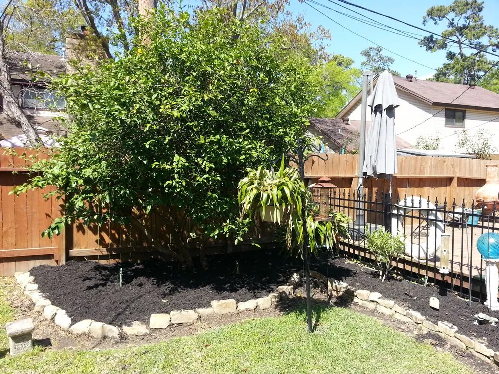 Top-rated lawn care service in Highlands, TX - B & B Tree Specialist & Landscaping