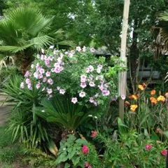 Custom yard maintenance in Highlands, TX - B & B Tree Specialist & Landscaping