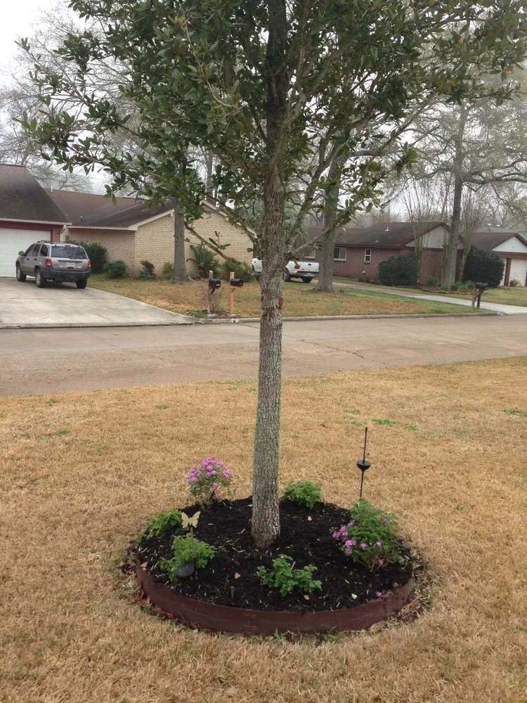 Expert yard cleanup service in Highlands, TX - B & B Tree Specialist & Landscaping