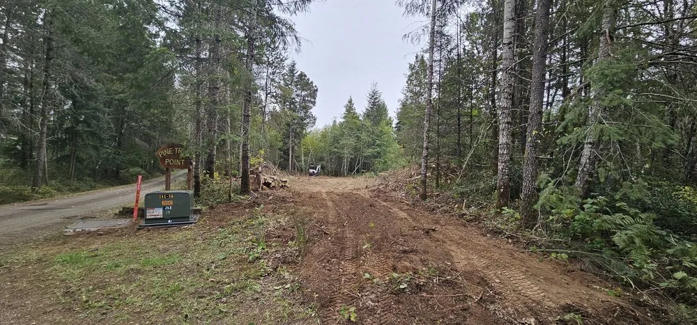 Affordable lawn mowing service in Steilacoom, WA - B & C Building Solutions