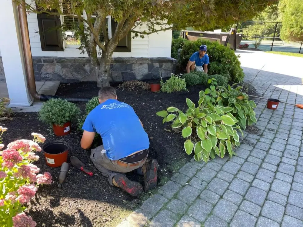 Trusted yard cleanup service for homes across Windham, NH - B & C Landscaping
