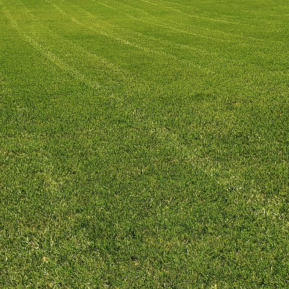 Top-rated yard maintenance in Edenton, NC by B & C Lawn Care