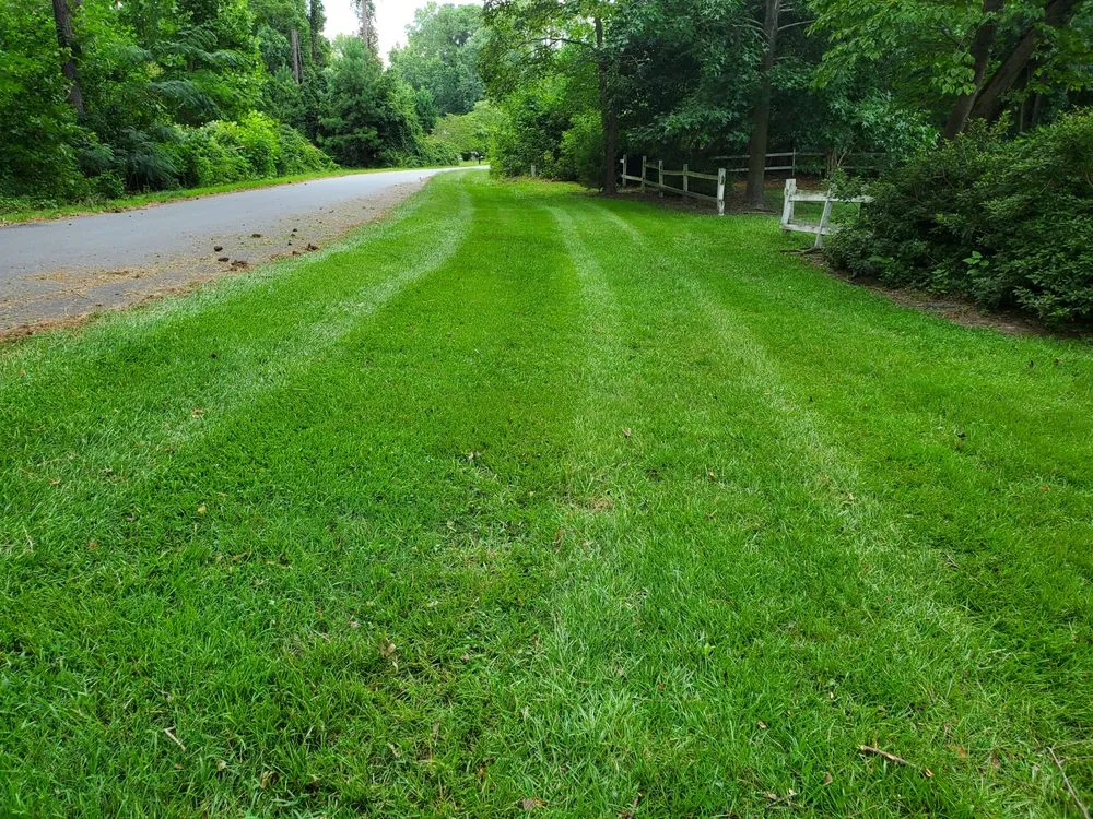 Custom landscaping services in Edenton, NC by B & C Lawn Care