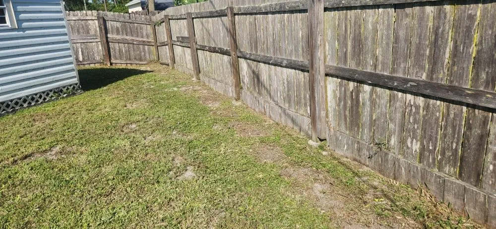 Reliable landscape installation in Palm Bay, FL - B & C Lawn techs