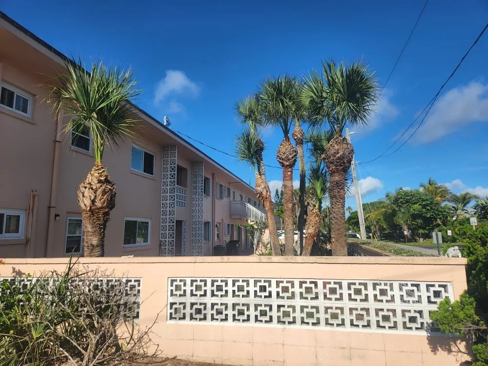 Trusted landscaping services experts serving Palm Bay, FL - B & C Lawn techs