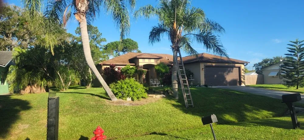 Affordable landscape installation for outdoor upgrades in Palm Bay, FL by B & C Lawn techs