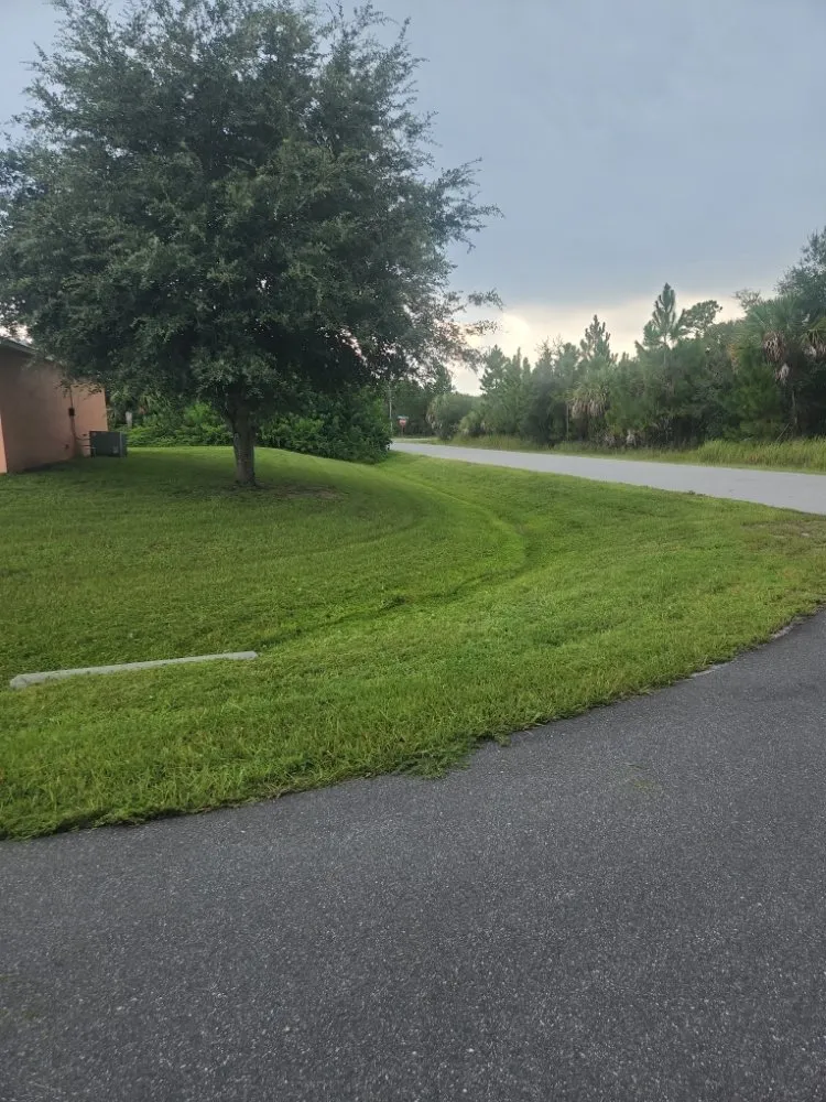 Professional landscape installation experts serving Palm Bay, FL - B & C Lawn techs