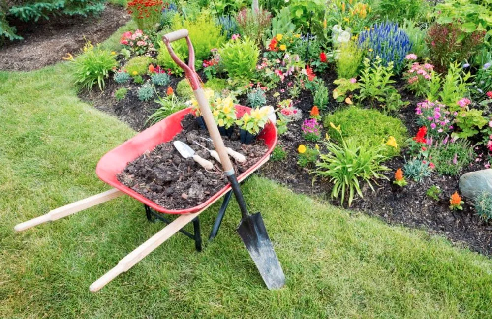 Trusted landscaping services experts serving Palm Bay, FL - B & C Lawn techs