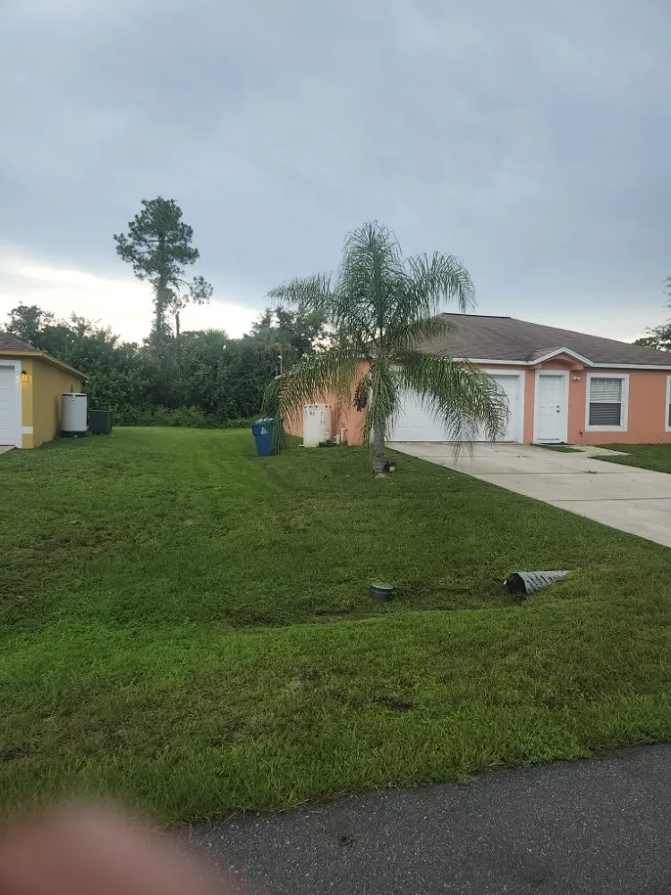 Top-rated yard cleanup service for beautiful yards across Palm Bay, FL - B & C Lawn techs