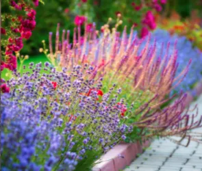 Reliable landscape installation in Palm Bay, FL - B & C Lawn techs