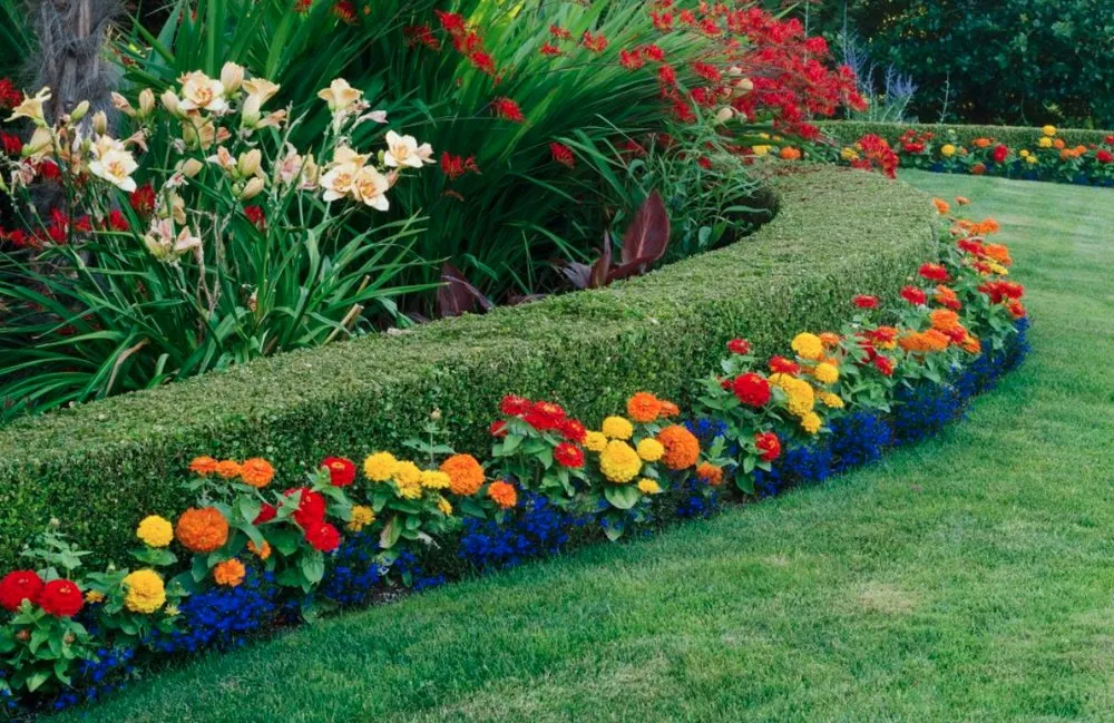 Affordable landscape installation near you in Palm Bay, FL by B & C Lawn techs