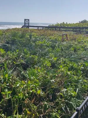 B & C Lawn techs Logo