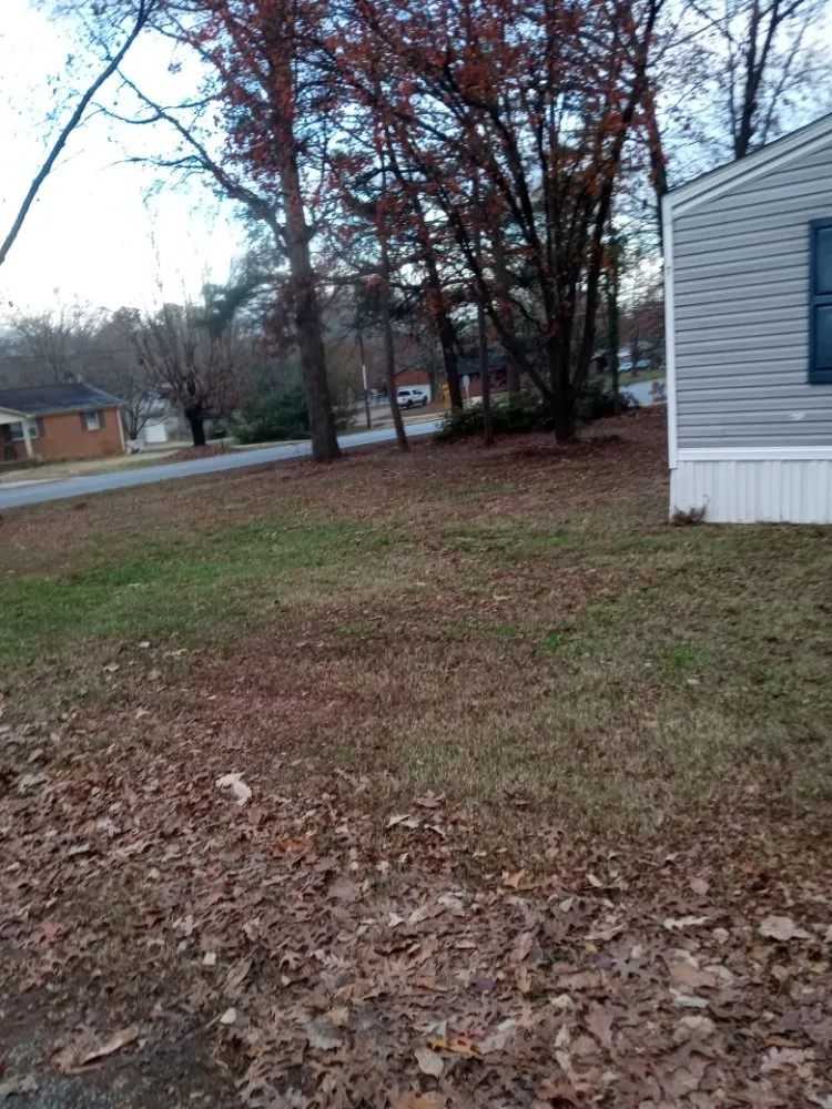 Custom lawn care service near you across Lincolnton, NC - B & C Lawncare