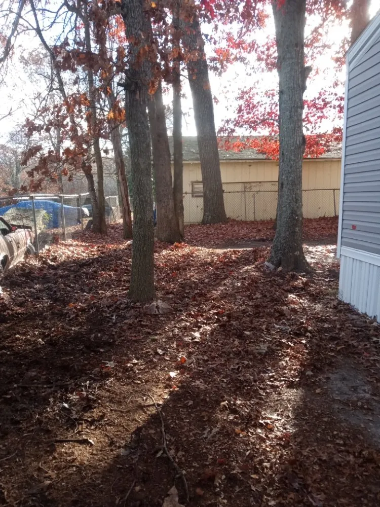 Affordable yard maintenance for year-round maintenance across Lincolnton, NC - B & C Lawncare