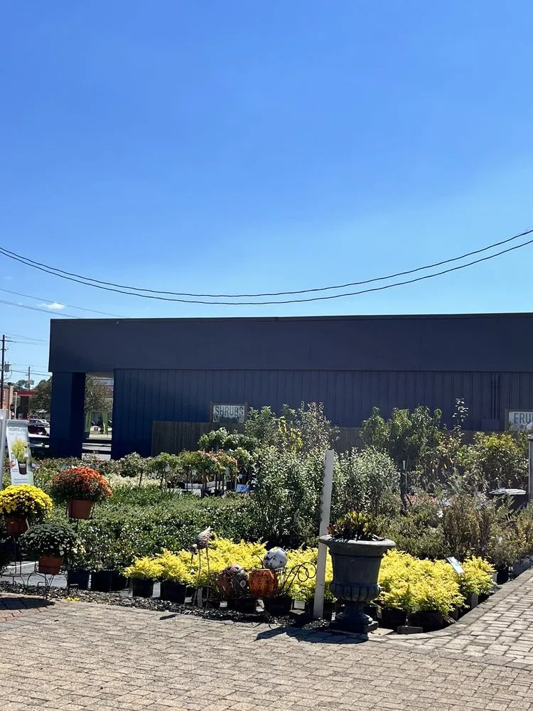 Professional yard cleanup service near you across Pace, FL - B & C Nursery