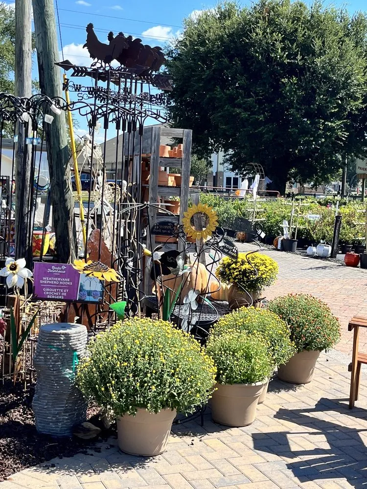 Top-rated yard maintenance in Pace, FL - B & C Nursery