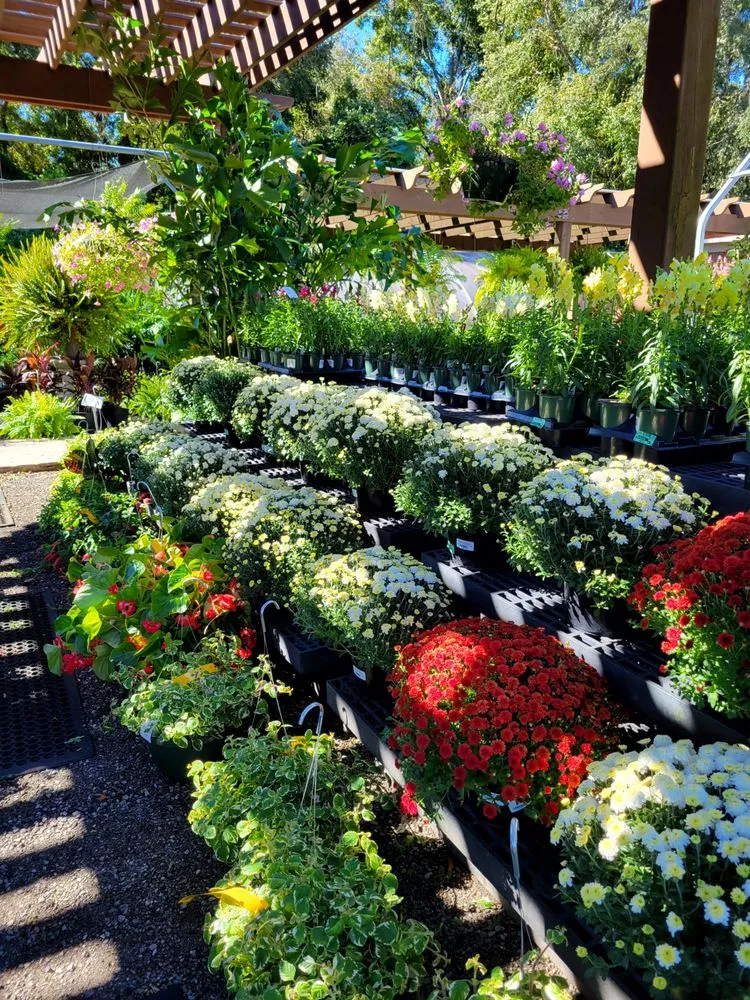 Trusted landscaping services for beautiful yards in Pace, FL by B & C Nursery