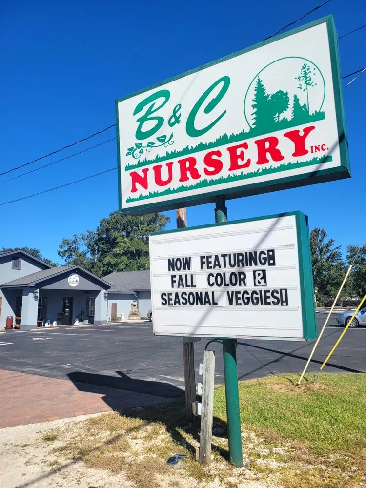 Top-rated residential landscaping for residential properties across Pace, FL - B & C Nursery