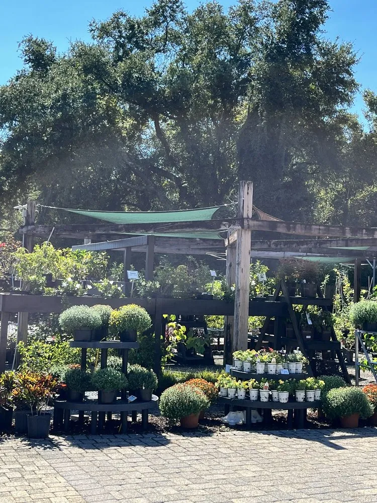 Reliable lawn mowing service in Pace, FL by B & C Nursery