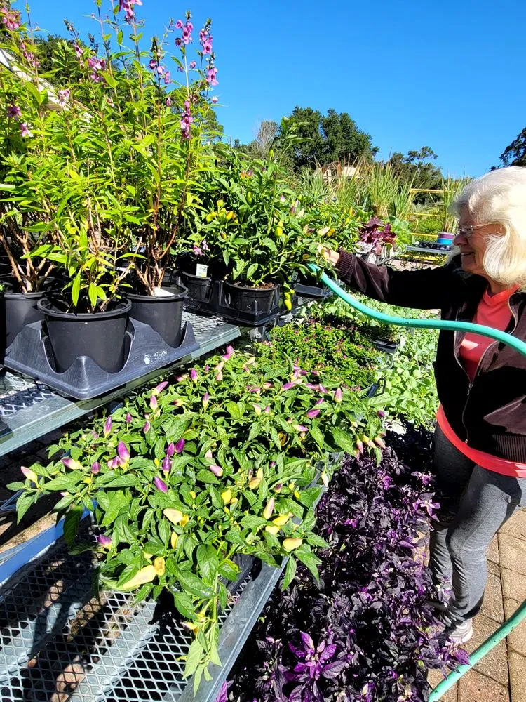 Top-rated outdoor landscaping for residential properties in Pace, FL by B & C Nursery