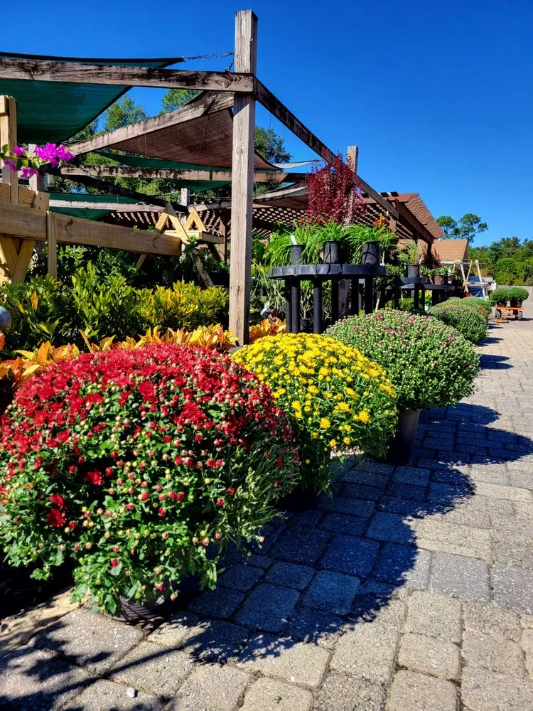 Top-rated landscape installation experts serving Pace, FL - B & C Nursery