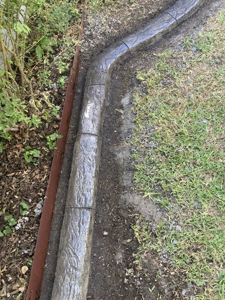 Affordable yard cleanup service in lake Dallas, TX - B & C Services